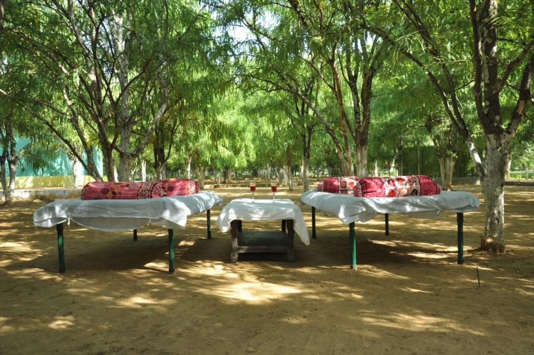 Matoshree Green Stay Sariska Tehla エクステリア 写真