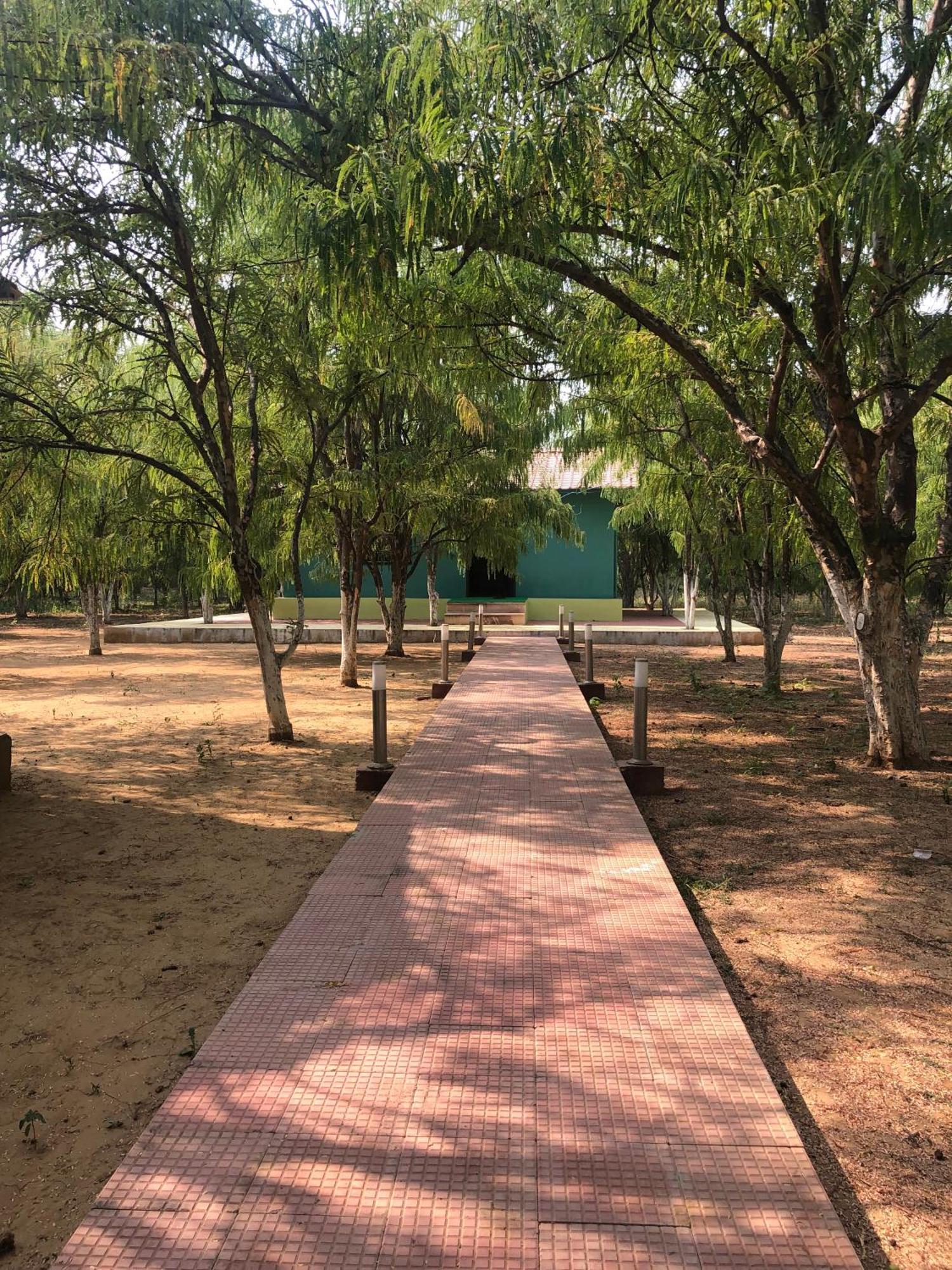 Matoshree Green Stay Sariska Tehla エクステリア 写真