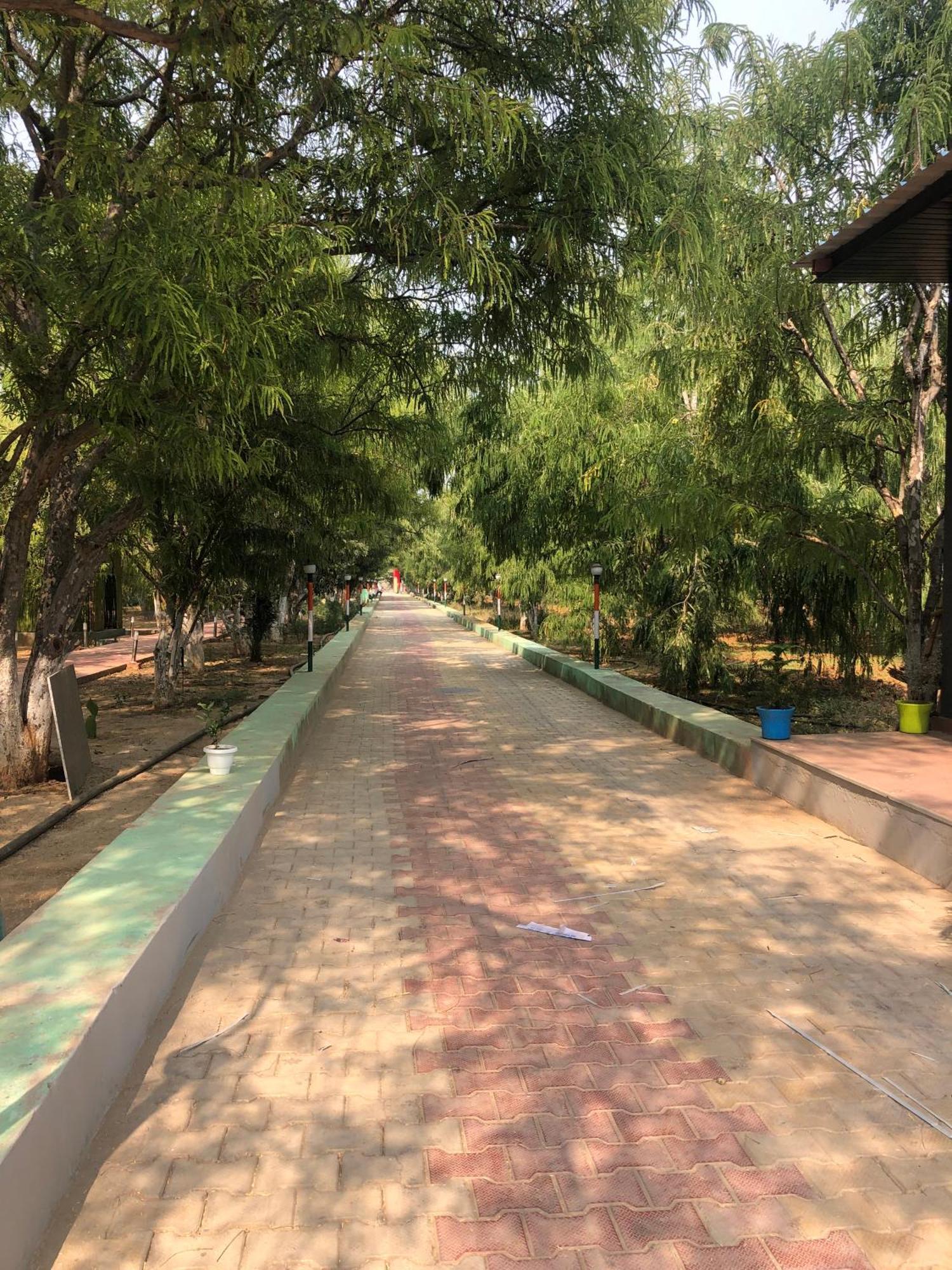 Matoshree Green Stay Sariska Tehla エクステリア 写真
