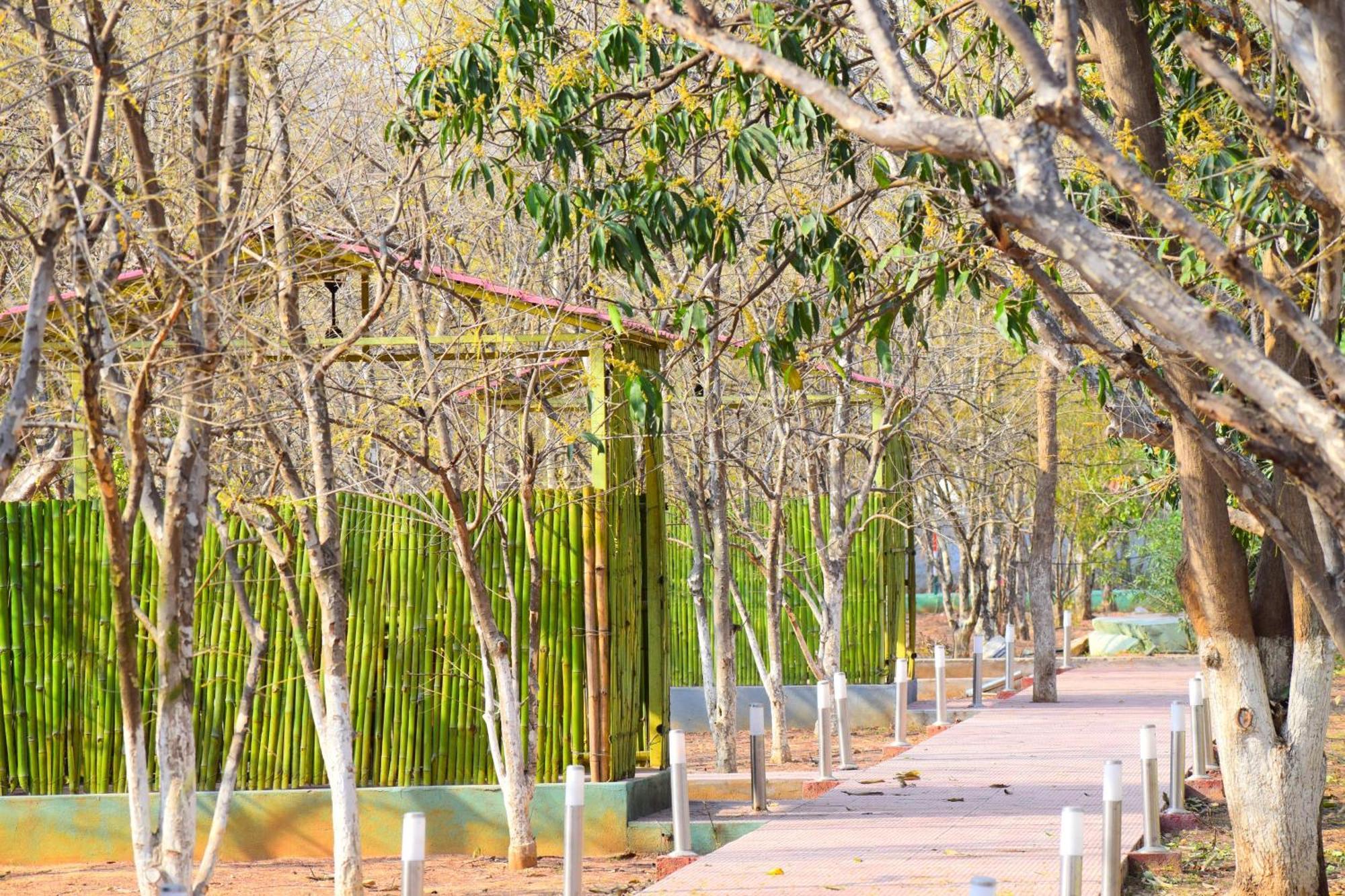 Matoshree Green Stay Sariska Tehla エクステリア 写真